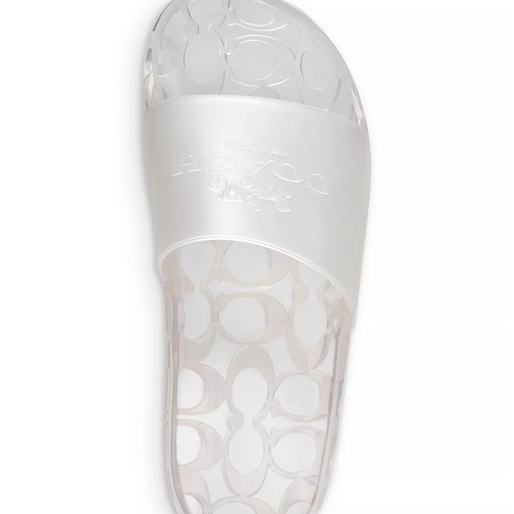 coach clear slides
